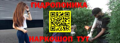 стафф Гай