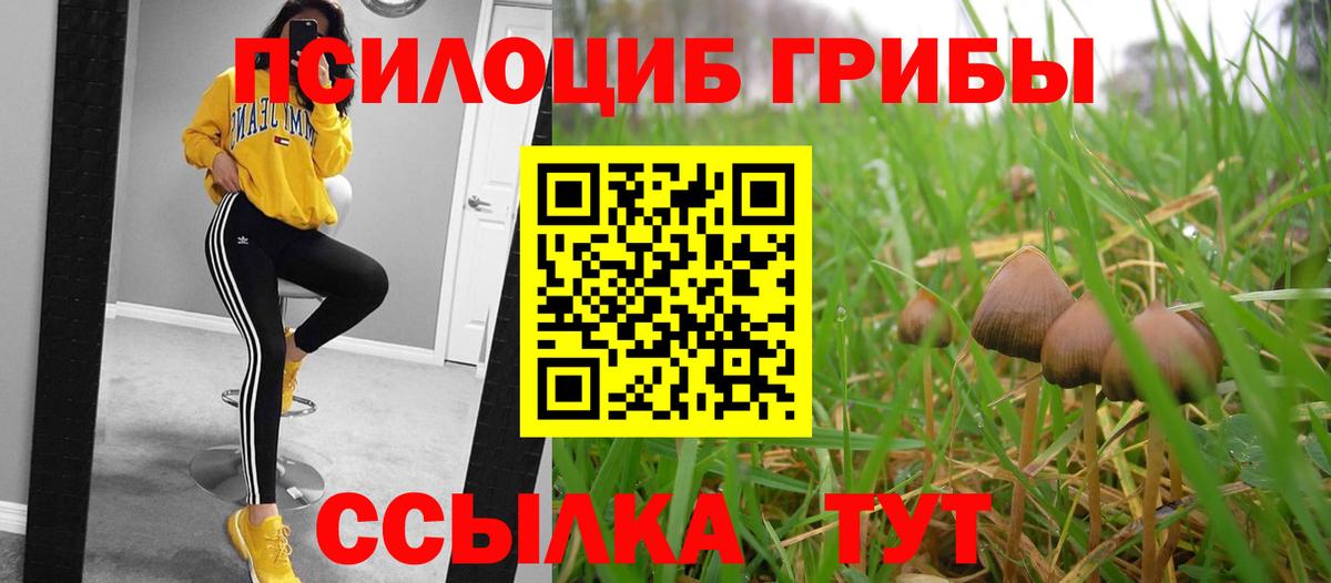 Псилоцибиновые грибы GOLDEN TEACHER Магадан