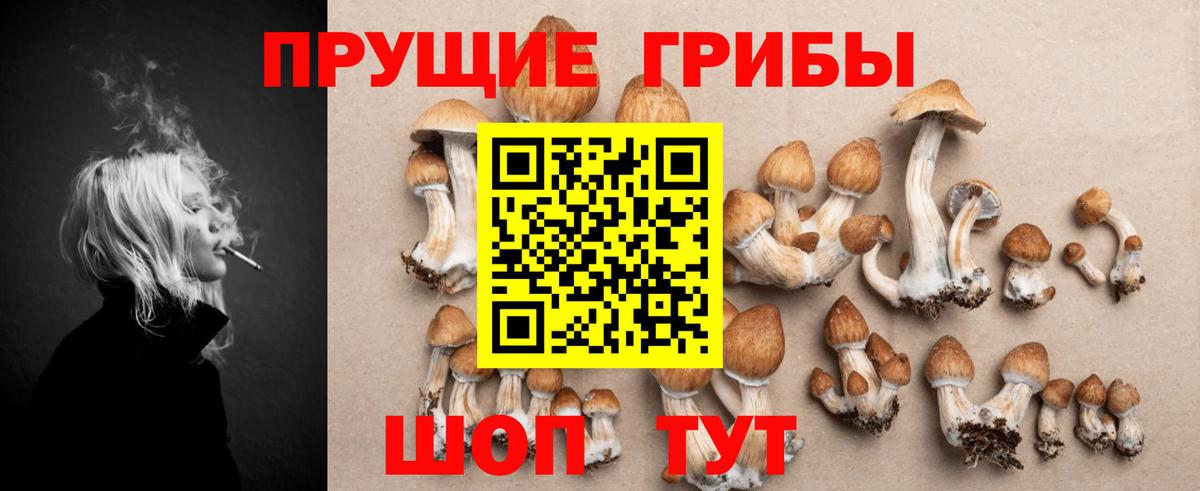 Псилоцибиновые грибы прущие грибы  Вход с VPN  Магадан 